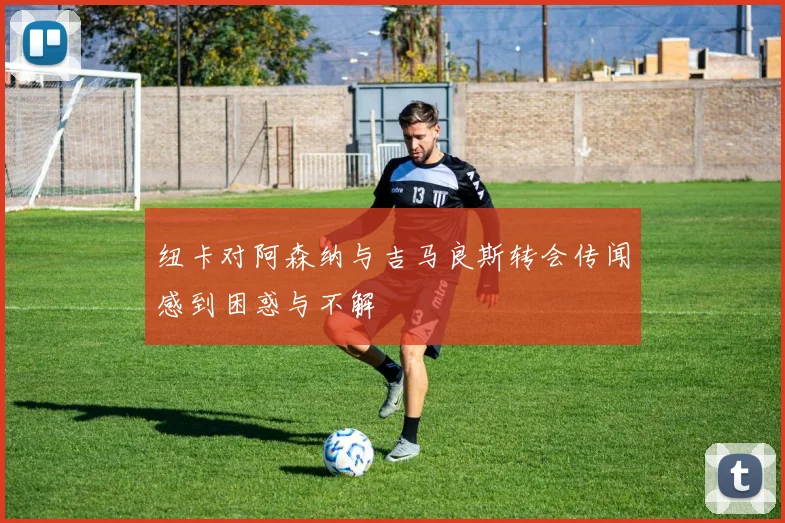 纽卡对阿森纳与吉马良斯转会传闻感到困惑与不解